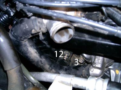 nissan maxima timing cover