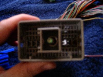nissan maxima wiring harness