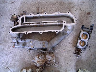 nissan maxima fuel injector