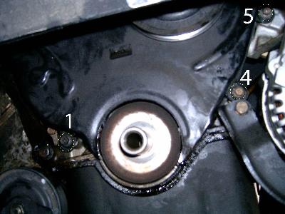 nissan maxima crankshaft bolt