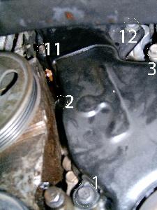 nissan maxima timing belt cover