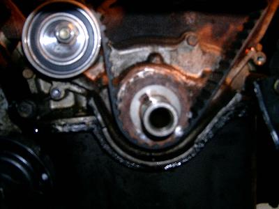 nissan maxima timing belt tensioner