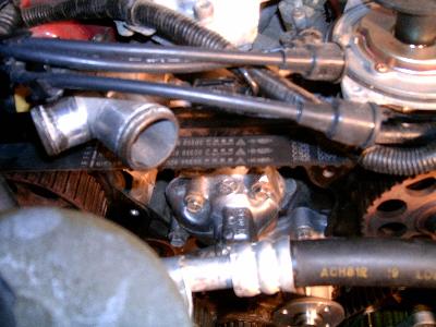 nissan maxima thermostat