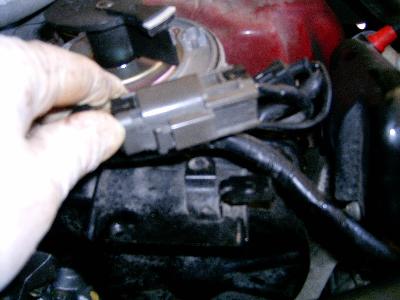 nissan maxima wiring harness